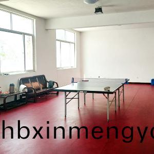 員(yuan)工(gong)娛(yu)樂活動(dong)室(shi)