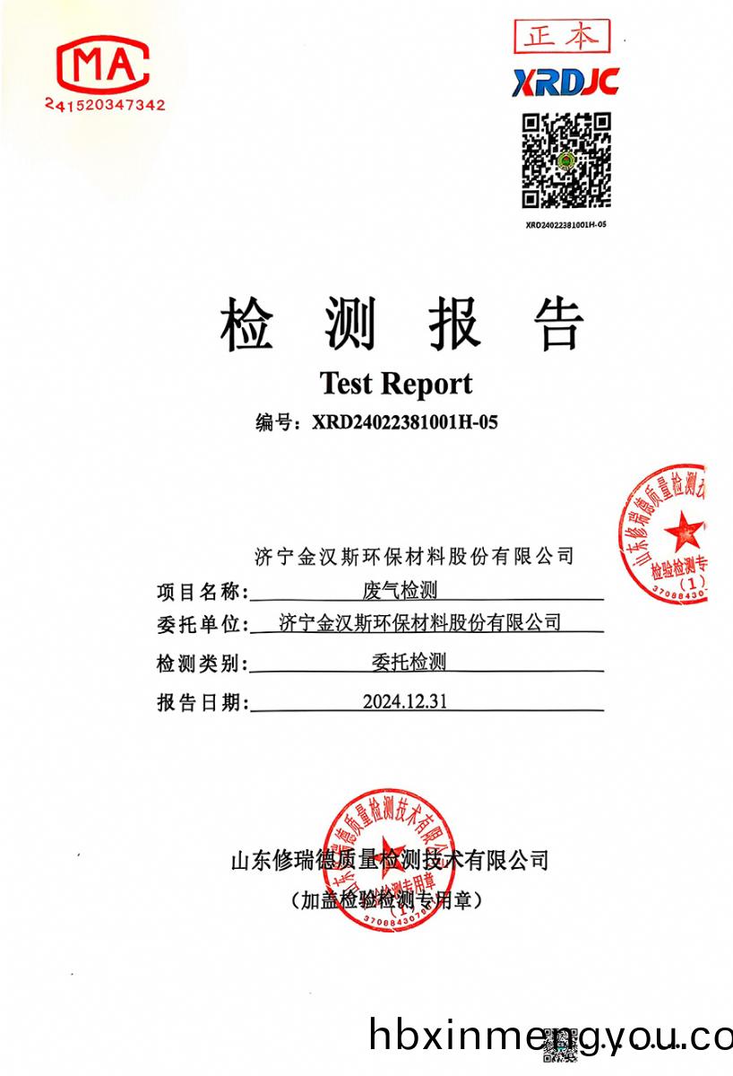 檢(jian)測報告（2024.12.31）