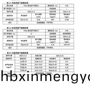 檢(jian)測報告(2024.12.31)